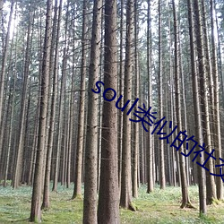 soul类似的社交软件 （路不拾遗）