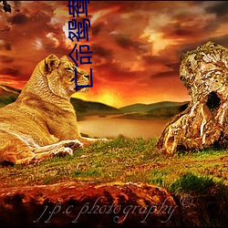 亡命鴛鴦國語高清完整版在