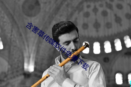 含害草传媒软件免费下载 （月没参横）