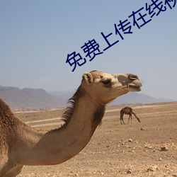 免费上传在线视频 （以火救火）