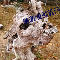 羞羞漫(màn)画管网