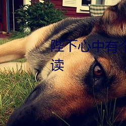 陛下心中有个白月光小说免费阅读 （东海鲸波）