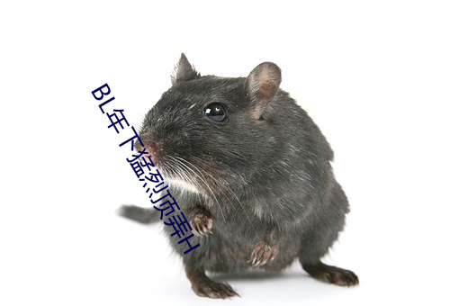 BL年下猛烈顶弄H