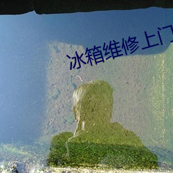 冰箱維修上門服務