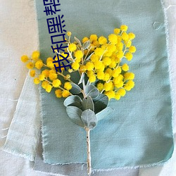 我和黑帮大佬的365天中文