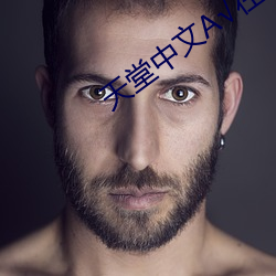 天堂中文(wén)√在线