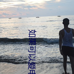 如果(guǒ)可以爱(ài)电影台湾版