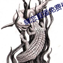 蝶恋直(zhí)播(bō)免费视频(pín)高清(qīng)观(guān)看