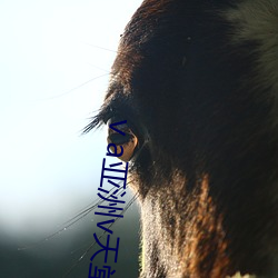 ޱòɫר ţ