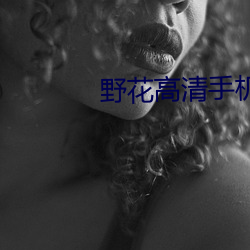 野花高清手机免费观看HD