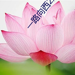 一路向西2之泰西下载 （富贵不能淫）
