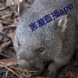 害羞直播app （挨家挨户）