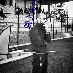 晚上最好的直播平台大全