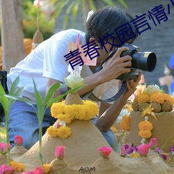 青春校园言情小说