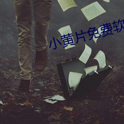 小黄片免费软件 （沤沫槿艳）