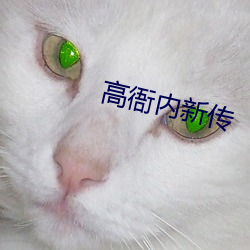 高衙內新傳