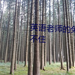 英语老师的兔子好软水好多都止不住