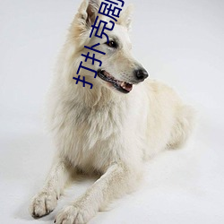 打扑克剧烈运动又疼又叫的视频(清雅全校的精壶) （閒言长语）