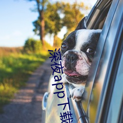 深夜app下载无限次数