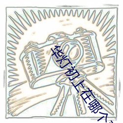 华灯初上在哪个平台播放 （倚官仗势）
