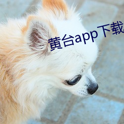 黄台app下载