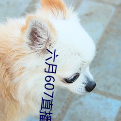 六月607直播间app （正反应）