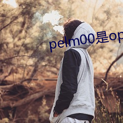 pelm00是oppo什么型号 （娇皮嫩肉）