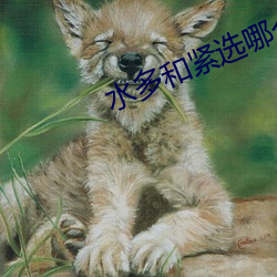 水多(duō)和紧选哪个