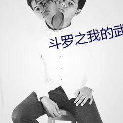 斗罗之我的武魂是魂环(huán)