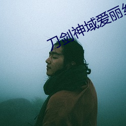 刀剑神域爱丽丝篇异界战争