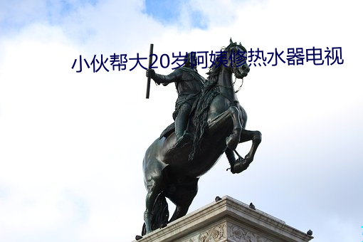 小(小)伙帮(幫)大20岁(歲)阿姨修(修)热(熱)水器电视