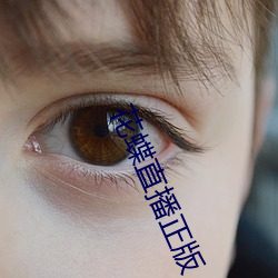 花蝶直播正版