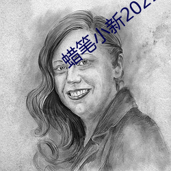 蜡笔小新2021完整版资源
