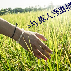 skyֱ ʯʣ