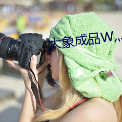 大象成品W灬源码1