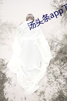 汤(湯)头条app下载(載)网(網)址进入