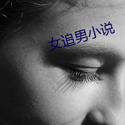 女(nǚ)追男小(xiǎo)说