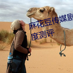 麻花豆传媒剧(劇)国产MV网站入口深(深)度测评