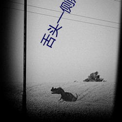舌头一侧疼是上火吗