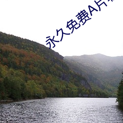 永久免費A片軟件