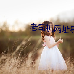 老司机(jī)网(wǎng)址(zhǐ)导航