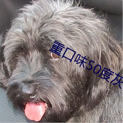 重(zhòng)口味50度灰