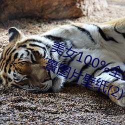 美(美)女100%全身图片 漂亮女(女)人(人)高清全景图片(片)壁(壁)纸(2)