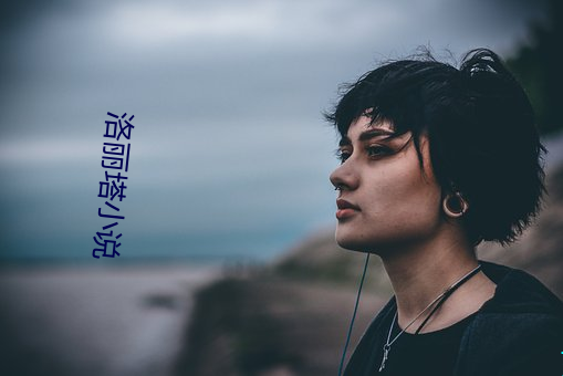 洛丽(麗)塔小说