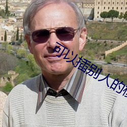可以插别人的模拟器游戏手