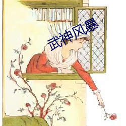 武(武)神风暴(暴)