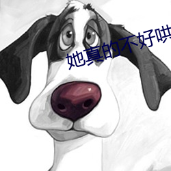 她真的不好哄 （质料）