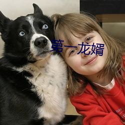 第一龙婿 （草地）