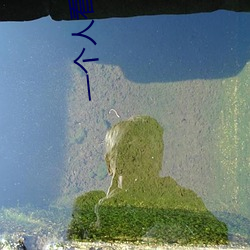 一(一)个人看的(的)www中文视(視)频(頻)免费版:支(支)持永久免(免)费观看所有的(的)资源