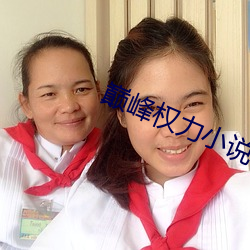 巅峰權力小說
